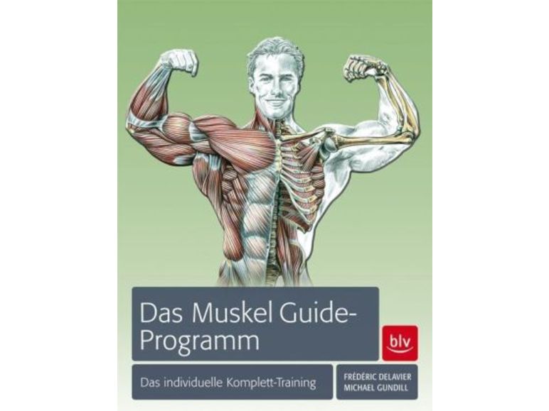 Das Muskel-Guide Programm