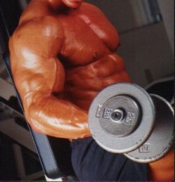 Bizeps Training Bizeps Training mit Christian Engel