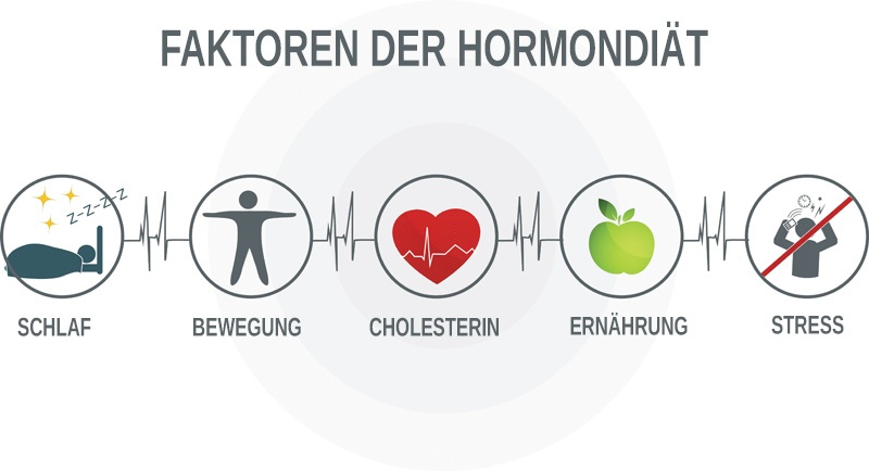 Wichtige Faktoren in der Hormondiät Mit diesen Faktoren kannst Du Deinen Hormonhaushalt in dieser Diät regulieren