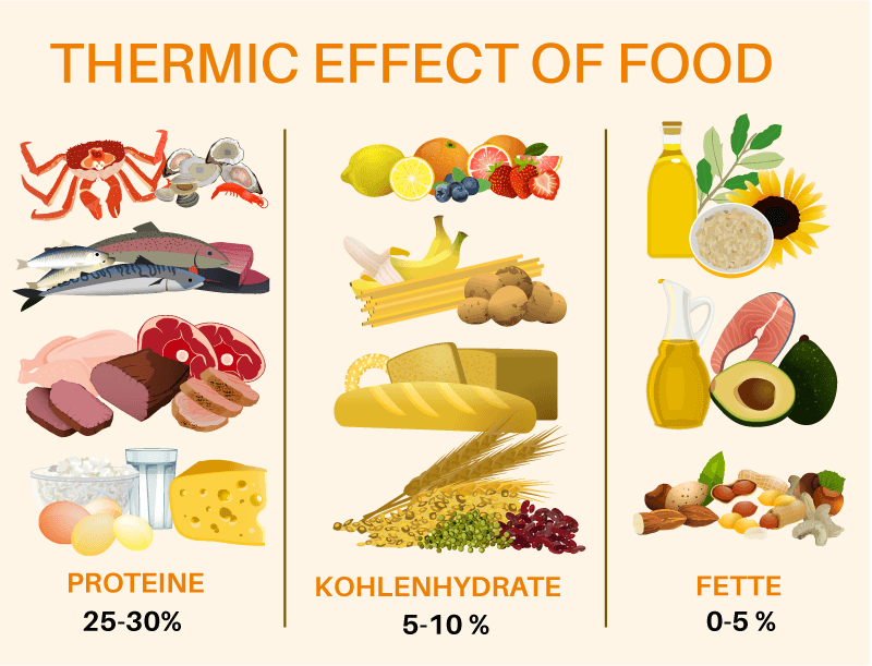 Grafik Thermischer Effekt von Lebensmitteln alt=