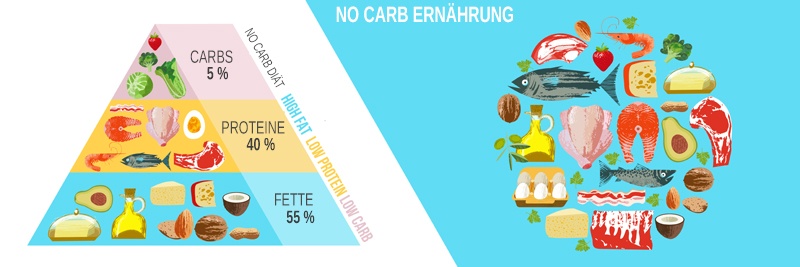 No Carb Lebensmittelpyramide Lebensmittel Empfehlung in der No Carb Ernährung