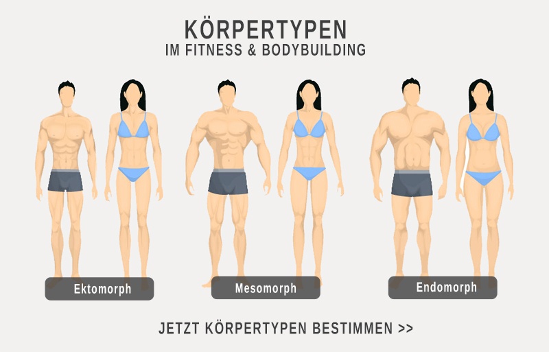 Körpertyp bestimmen