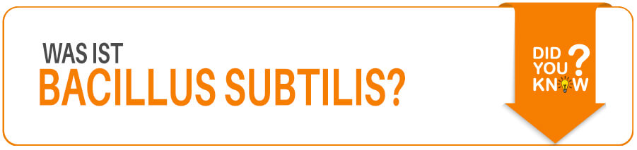 Was ist Bacillus Subtilis Was ist das Probiotikum Bacillus Subtilis und wie wirkt es sich auf die Darmflora aus?
