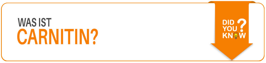 Was ist Carnitin? Wissenswertes über die Aminosäure L-Carnitin
