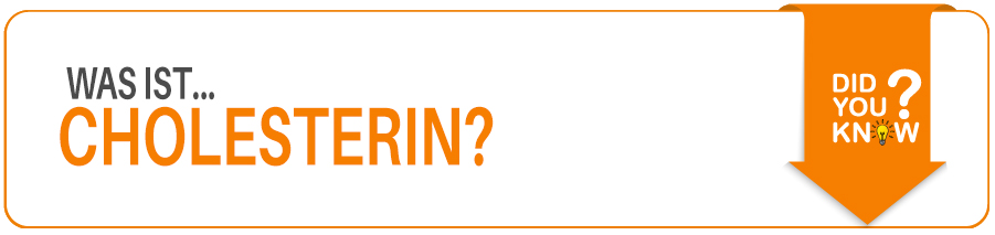 Was ist Cholesterin Wissenswertes über Cholesterin
