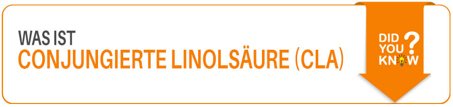Was ist conjungierte Linolsäure Im Fitness Lexikon wird erklärt was CLA - conjungierte Linolsäure ist