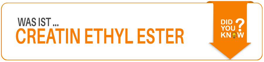 Was ist Creatin Ethyl Ester Creatin Ethyl Ester Wirkung Dosierung und Nebenwirkungen