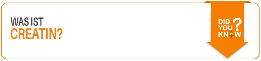 Was ist Creatin? Creatin für Sportler im Fitness Lexikon erklärt