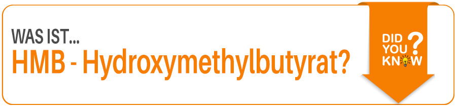 Was ist HMB? Was ist Hydroxymethylbutyrat