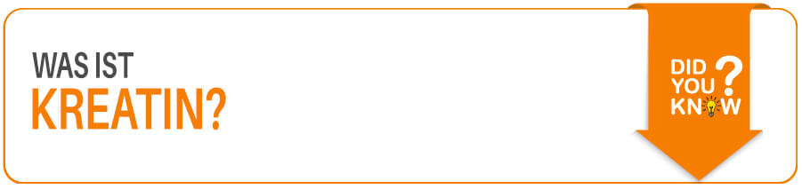 Titelbild Kreatin Was ist Kreatin - Im Fitness Lexikon erklärt