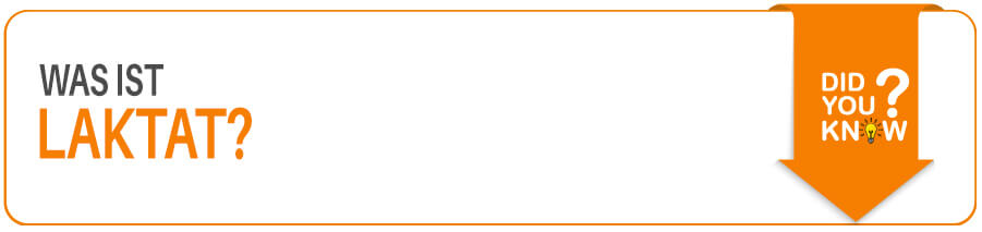 Was ist Laktat? Laktat im Fitness Lexikon Sportnahrung Engel erklärt