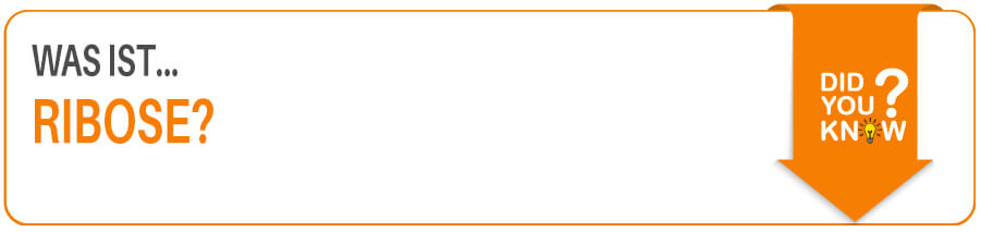 Was ist Ribose Ribose in der Sporternährung im Fitness Lexikon erklärt