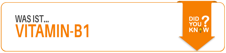 Titelbild Was ist VItamin B1 Vitamin B1 im Fitness Lexikon erklärt