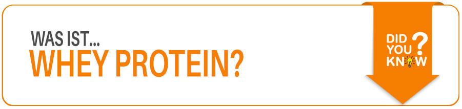 Was ist Molke Protein? Warum Wheyprotein so wichtig im Sport ist