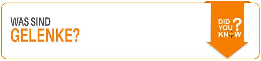Was sind Gelenke? Was Du über Gelenke als Sportler wissen solltest