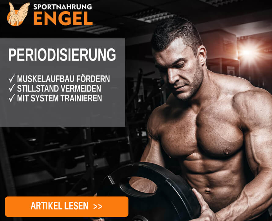 Trainingszyklen im Kraftsport welche Trainingszyklen gibt es im Kraftsport