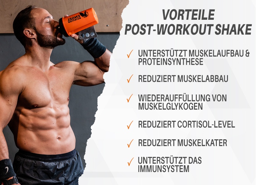 Vorteile Engel Nutrition Premium Post Workout