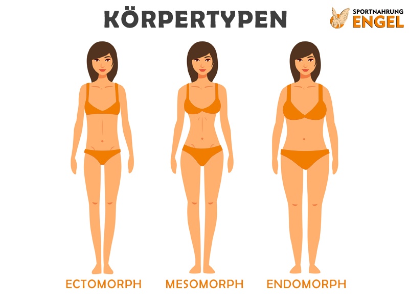 Frauen K&ouml;rpertypen Ektomorph, Mesomorph und Endomorph