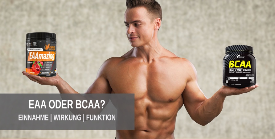 EAAs oder BCAAs Der Vergleich von EAAs und BCAAs