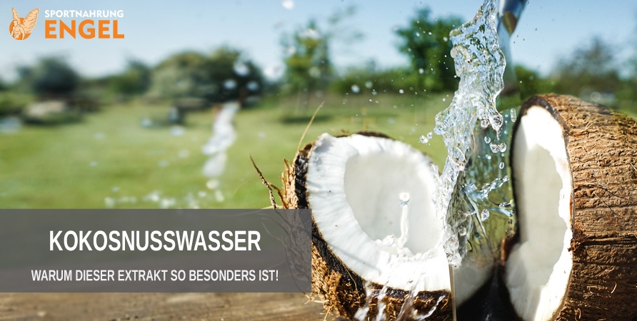 Extrakt aus Kokosnusswasser Kokosnusswasser Extrakt
