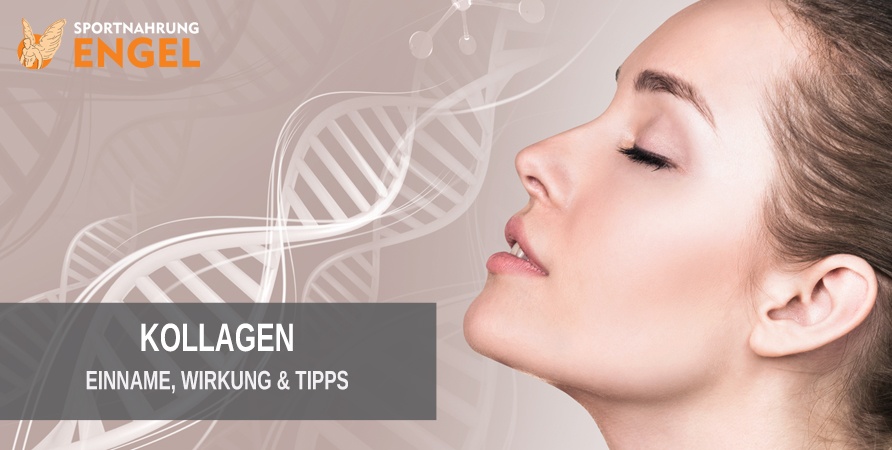 Kollagen Wirkung und Einnahme Tipps zu Kollagen