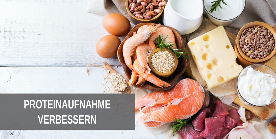 Proteinaufnahme verbessern Tipps wie du die Proteinaufnahme verbessern kannst