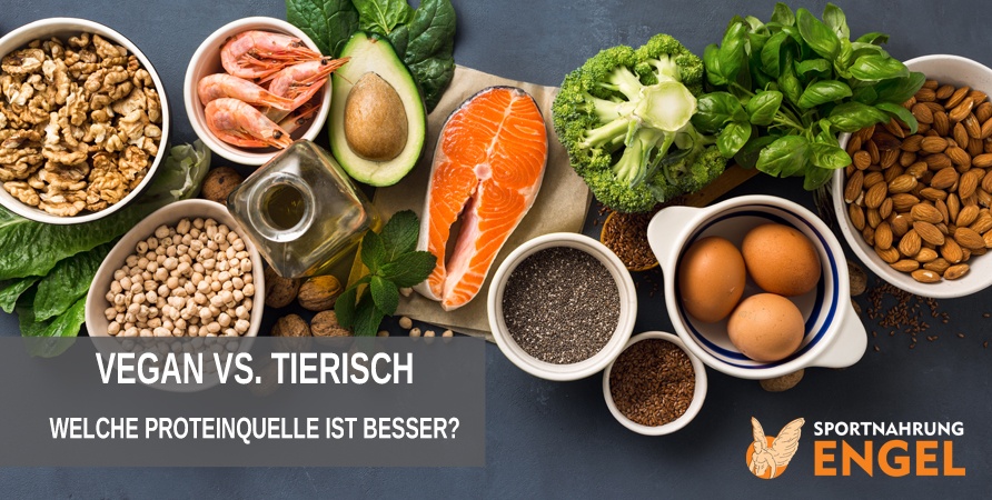 Vegane oder Trierische Proteinquellen Welche Proteinquelle ist besser? Vegetarisches oder Tierisches Protein