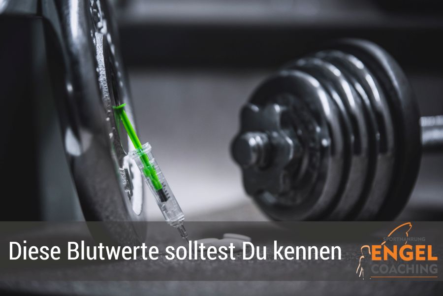 Was sagt das Blutbild &uuml;ber Deine Fitness aus? class=