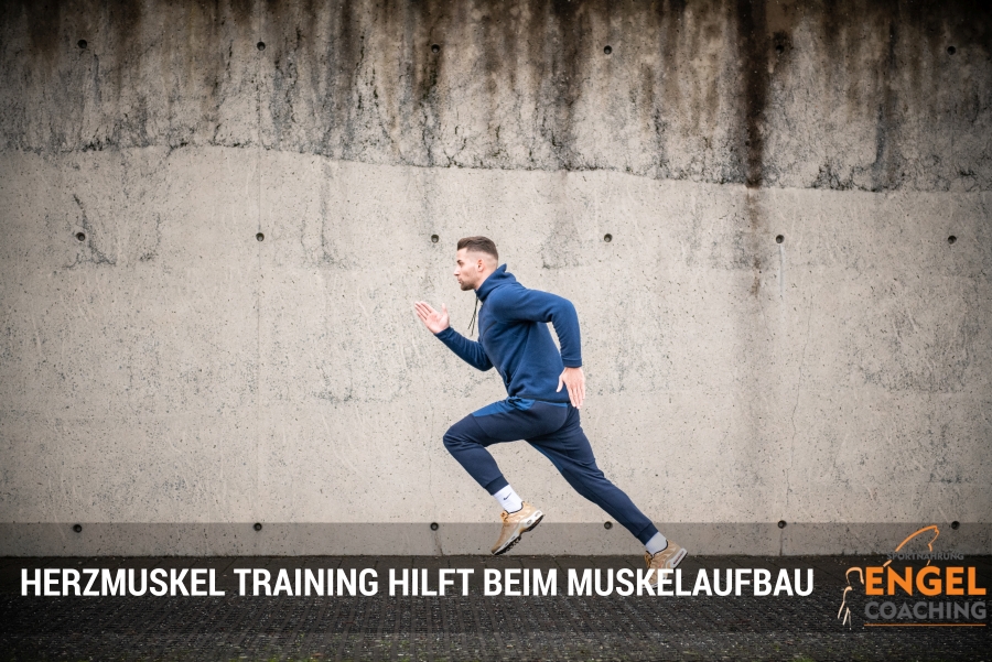 Herz Training für Muskelaufbau: Warum Du mehr Ausdauersport machen solltest Trainiere Deinen Herzmuskel für mehr Muskelaufbau