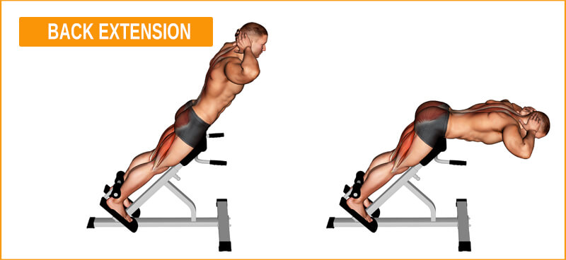 Back Extension Übung Tiefenmuskulatur Tiefenmuskulatur mit der Übung Back Extension trainieren