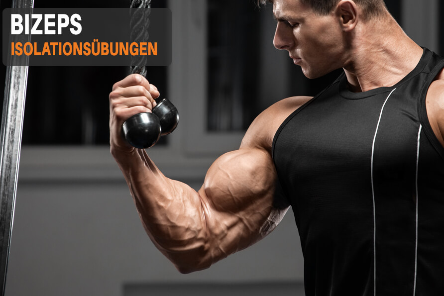 Bizeps Isolationsübungen Isoliert Bizepsmuskulatur Trainieren
