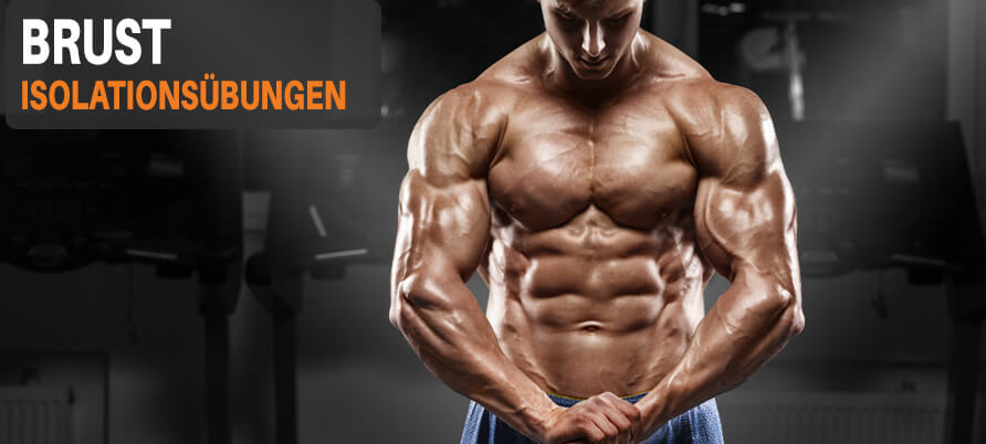 Brust Isolationsübungen Isoliert Brustmuskulatur Trainieren