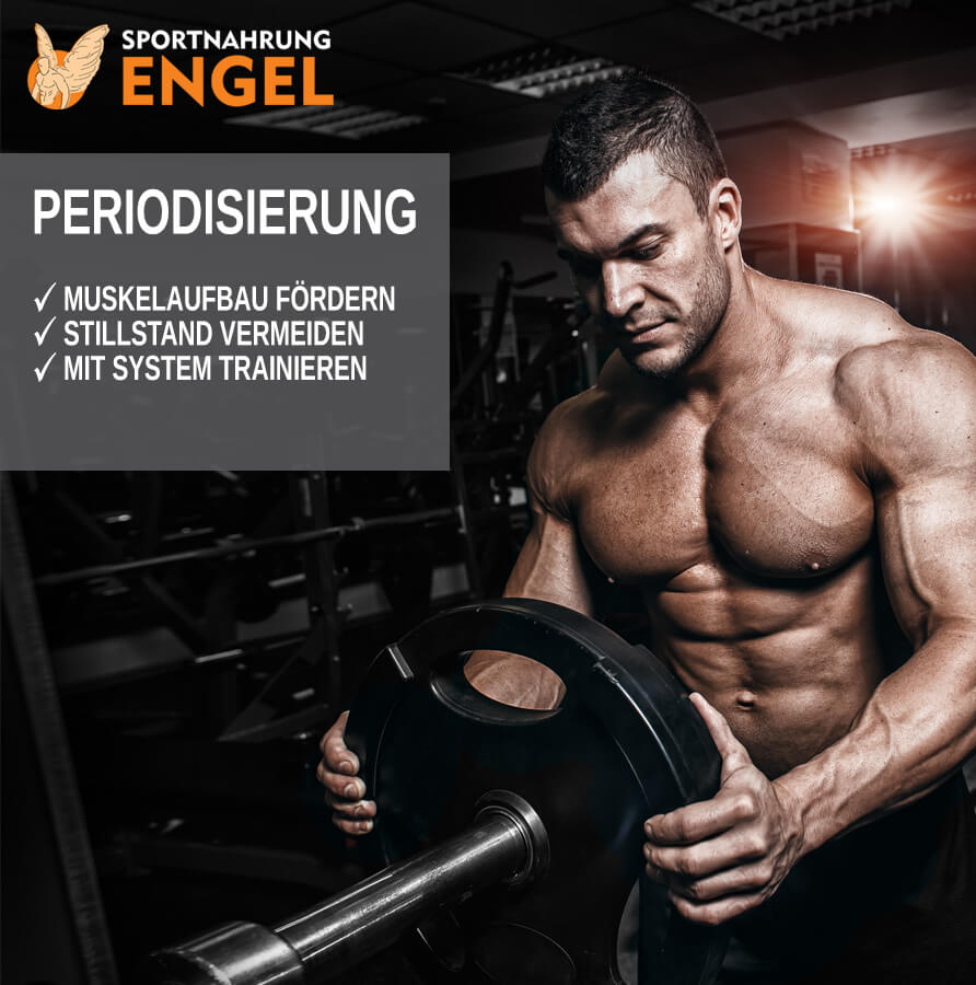 Richtige Periodisierung zum Muskelaufbau So sollte eine Periodisierung aussehen