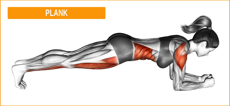 Plank Übung Tiefenmuskulatur Tiefenmuskulatur mit der Übung Plank trainieren
