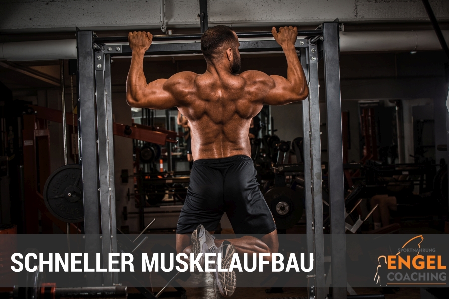 Schneller Muskelaufbau Schneller Muskelaufbau class=