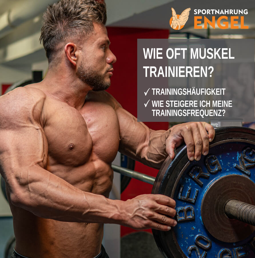 Wie oft sollte ich meinen Muskel trainieren? Trainingshäufigkeit - Wie oft sollte ich meinen Muskel trainieren?