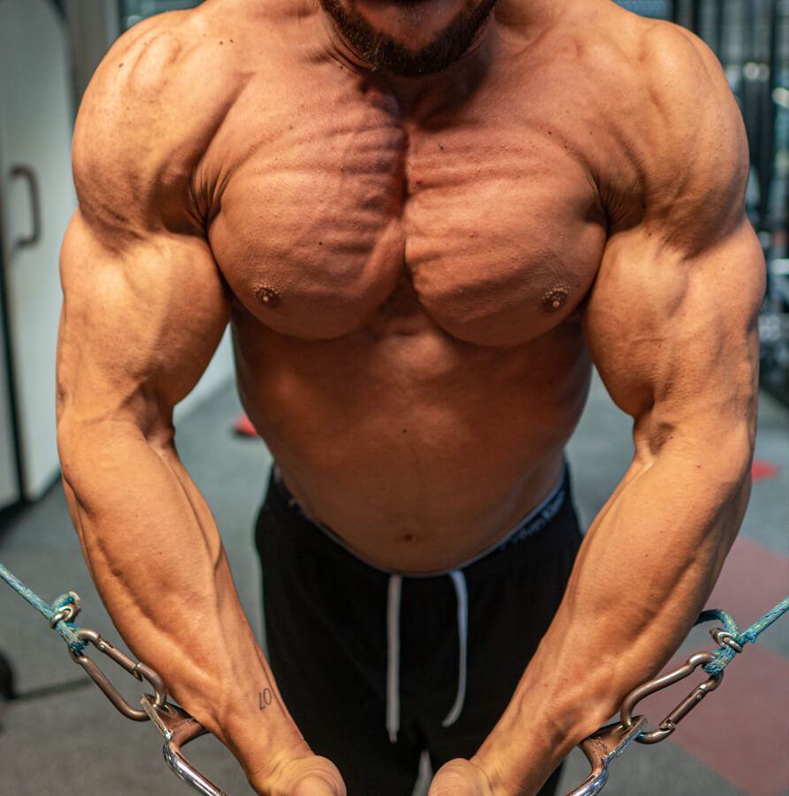 Vorteile Myo-Reps Diese Vorteile haben Myo-Resp für den Muskelaufbau