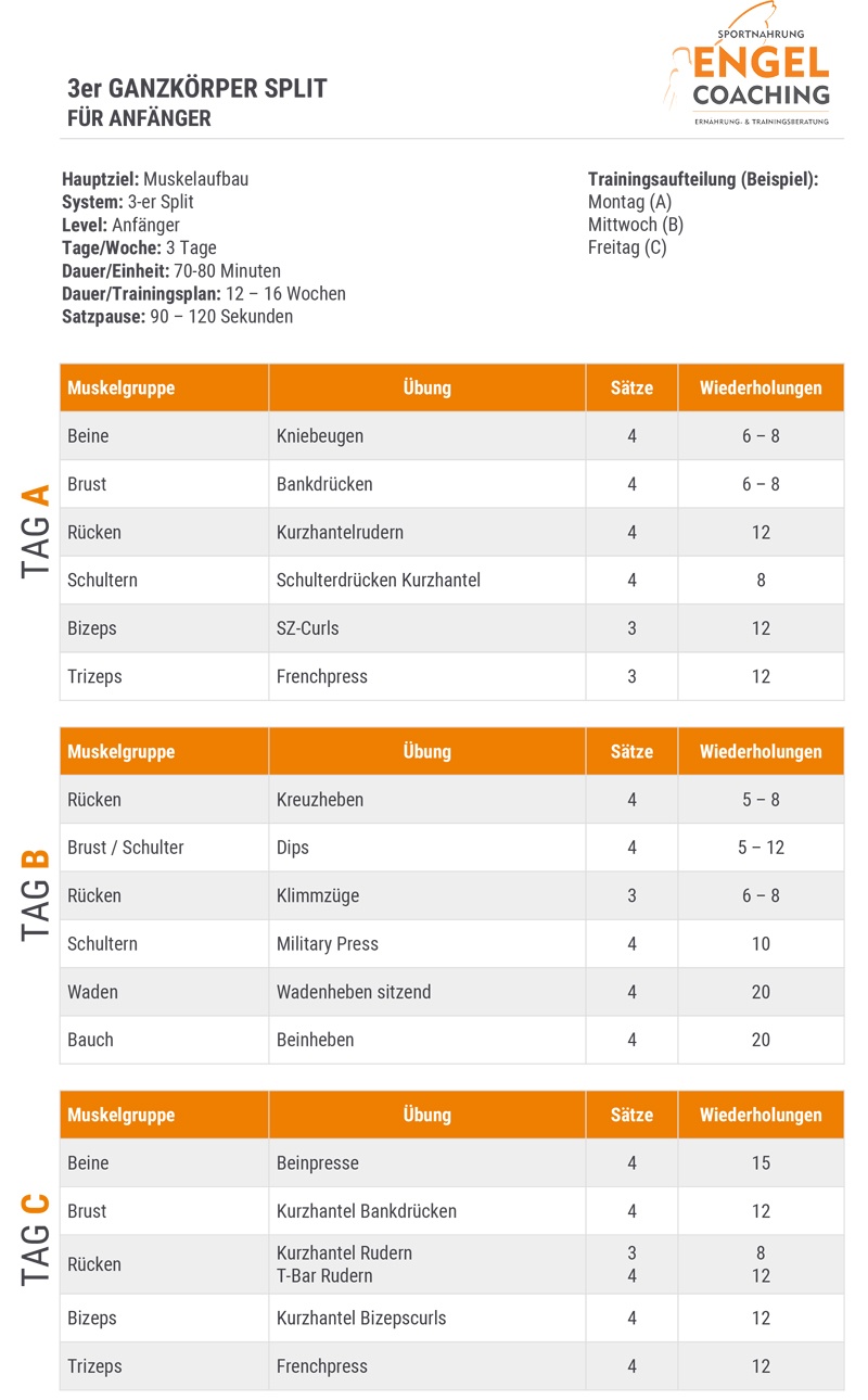 Dreier Split für Anfänger Drei Trainingstage im 3er Ganzkörper Spli