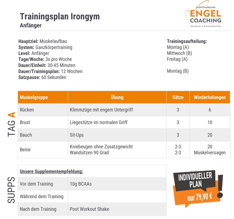 Irongym Trainingsplan für Anfänger Irongym Trainingsplan für Anfänger