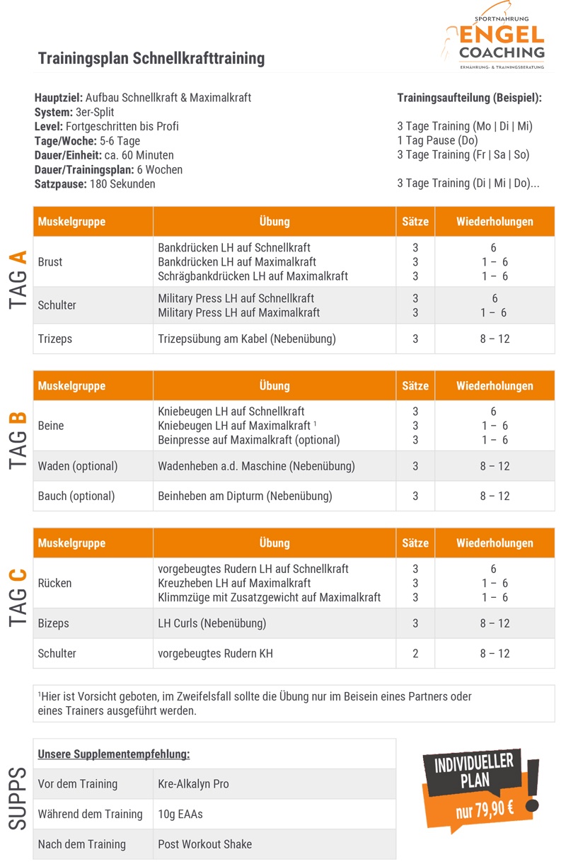 Trainingsplan zur Verbesserung der Schnellkraft und Kraftausdauer Trainingsplan zur Verbesserung der Schnellkraft und Kraftausdauer