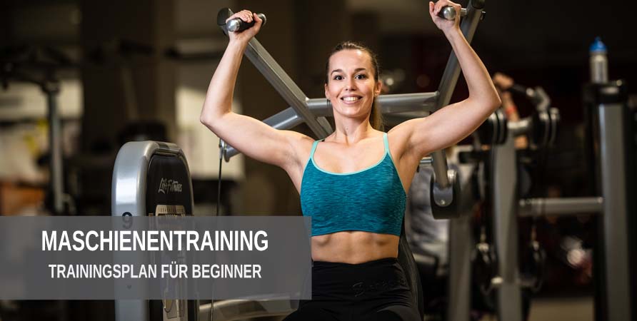 Maschinentraining Trainingsplan für Anfänger Beginner Maschinentraining Trainingsplan zum Muskelaufbau