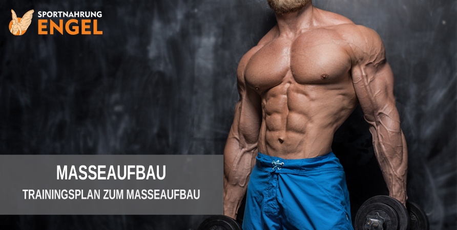 Titelbild Masseaufbau Trainingsplan Mit diesem Trainingsplan baust Du Masse auf
