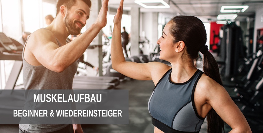 Muskelaufbau Trainingspläne für Beginner Beginner Trainingspläne zum Muskelaufbau