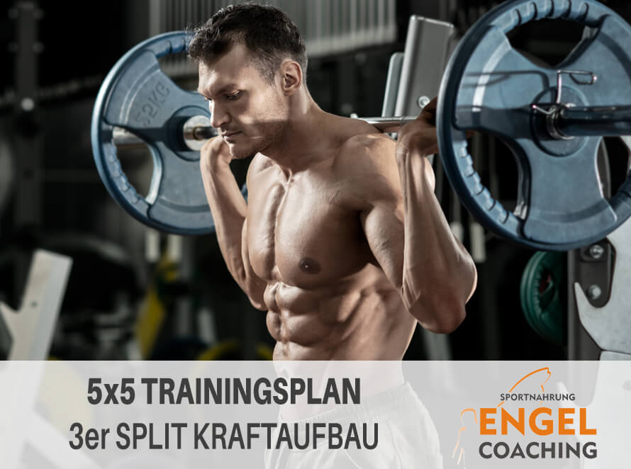 Titelbild 5x5 Trainingsplan Trainingsplan 5x5 System
