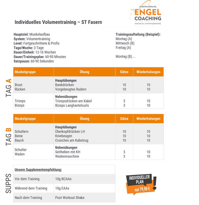 ST Faser Trainingsplan Individuelles Volumentraining für ST Fasern