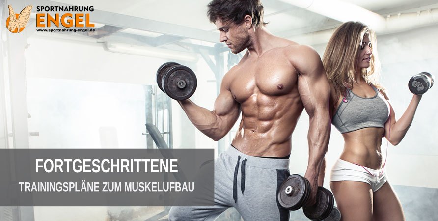 Muskelaufbau Trainingspläne für Fortgeschrittene Trainingspläne für Fortgeschrittene Sportler zum Muskelaufbau