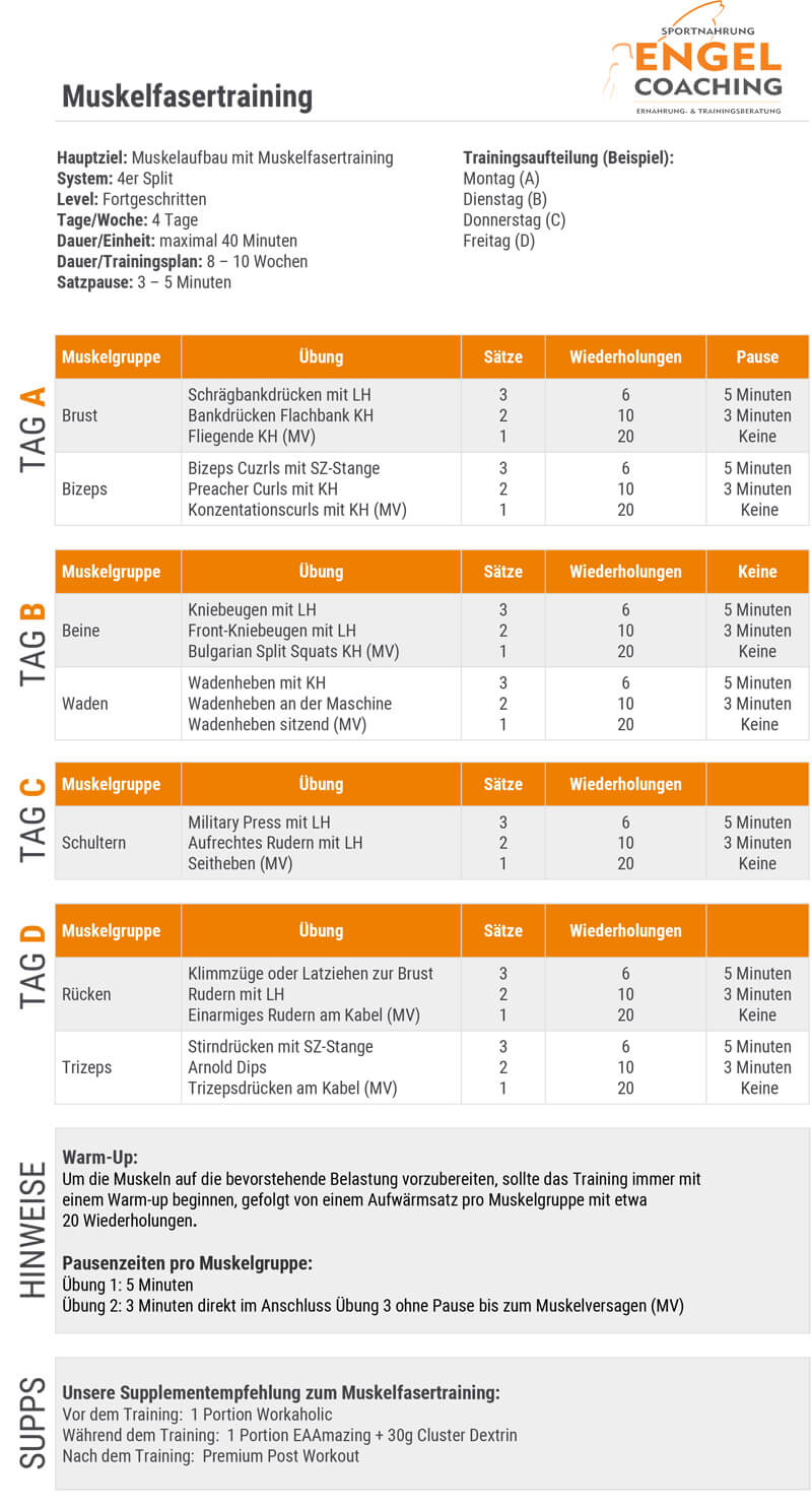 Gratis Muskelfaser Trainingsplan Alle Muskelfasern in einer Trainingseinheit trainieren