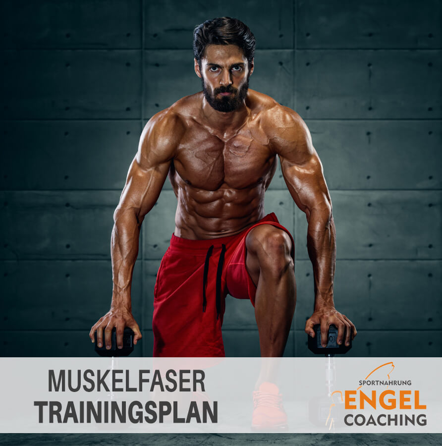 Titelbild Muskelfasertraining So trainierst Du alle Muskelfasern gleichzeitig