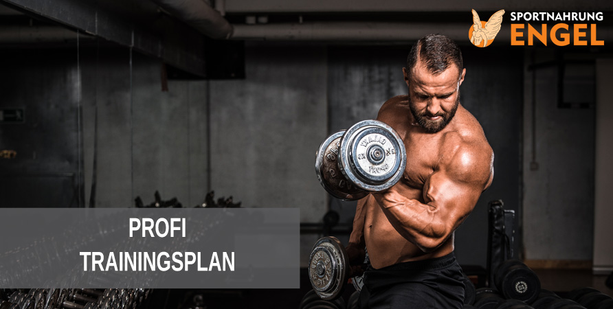 Profi Trainingsplan Profi Trainingsplan