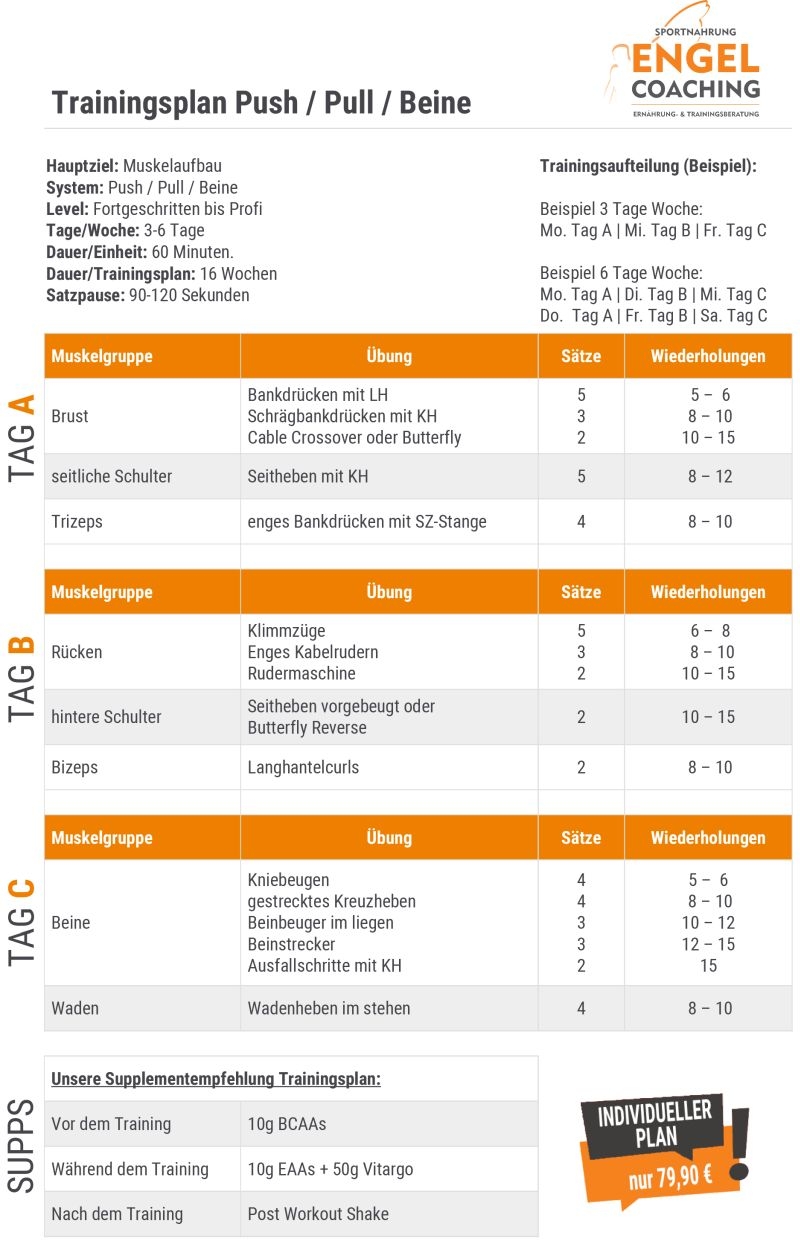 4er Split Muskelaufbau Trainingsplan für Fortgeschrittene 4er Split Muskelaufbau Trainingsplan für Fortgeschrittene Bodybuilder